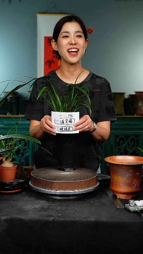 紫砂花盆794紫砂花盆