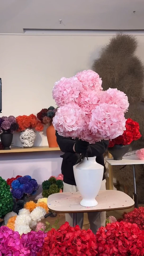 漂色永生大叶绣球花球10枝—浅粉