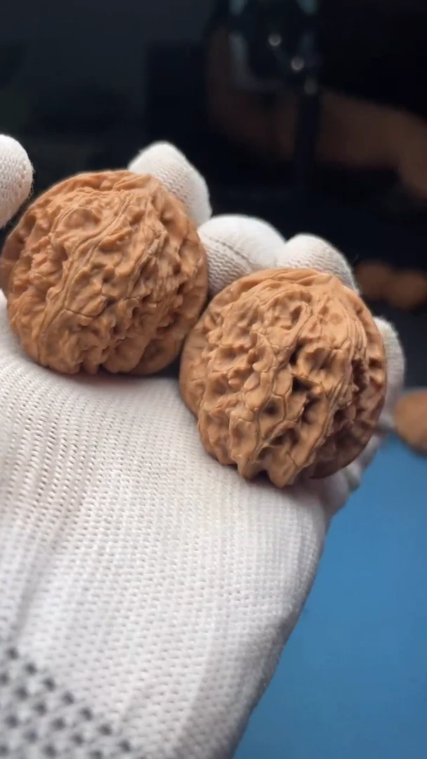 桃核把件w142  白狮子 38尺