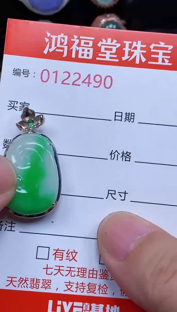 颈饰银S925镶嵌翡翠2490