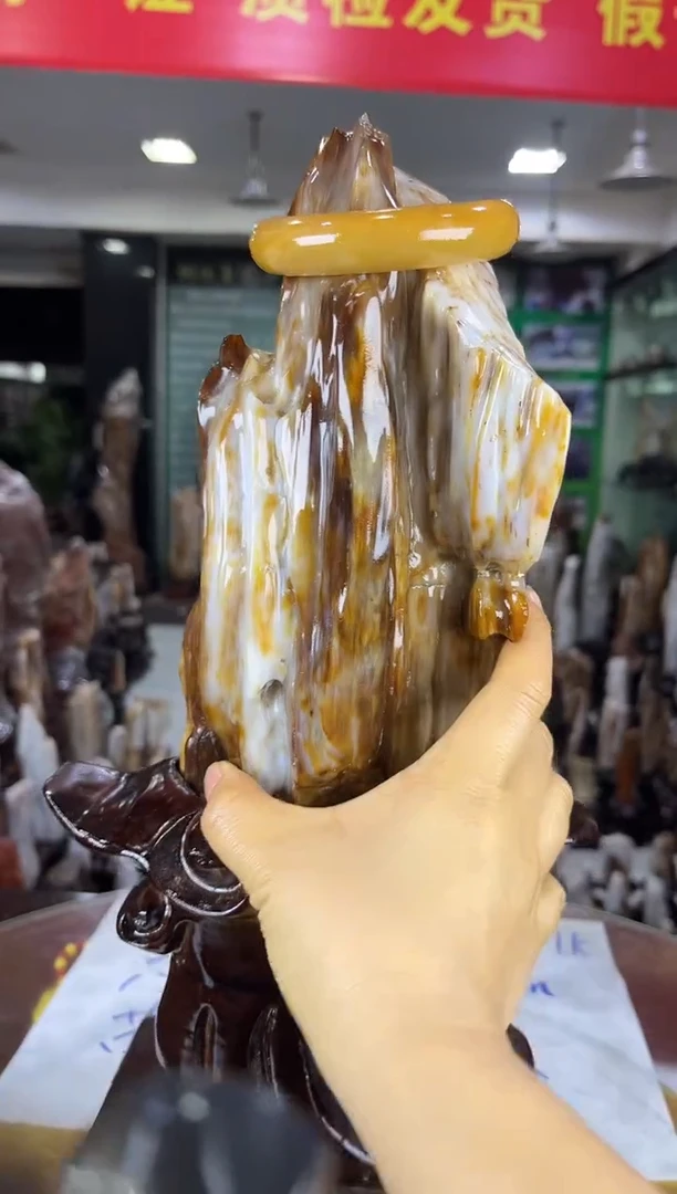 未镶嵌珠宝奇石硅化玉缅甸天然树化玉精品居家摆件