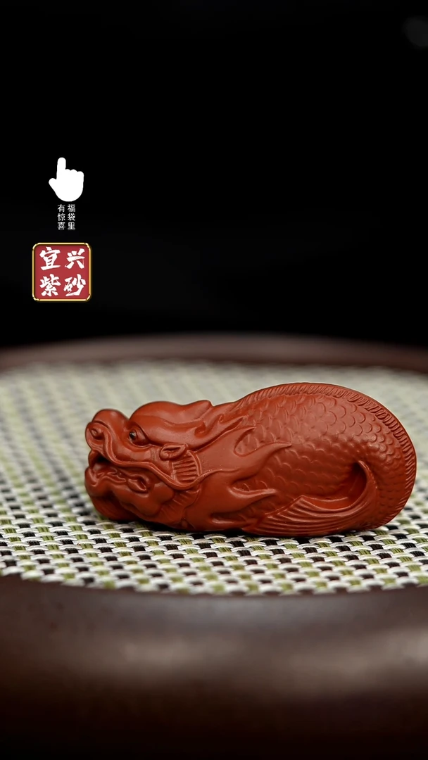 【闪购商品】茶宠鱼化龙鱼化龙鱼化龙鱼化龙