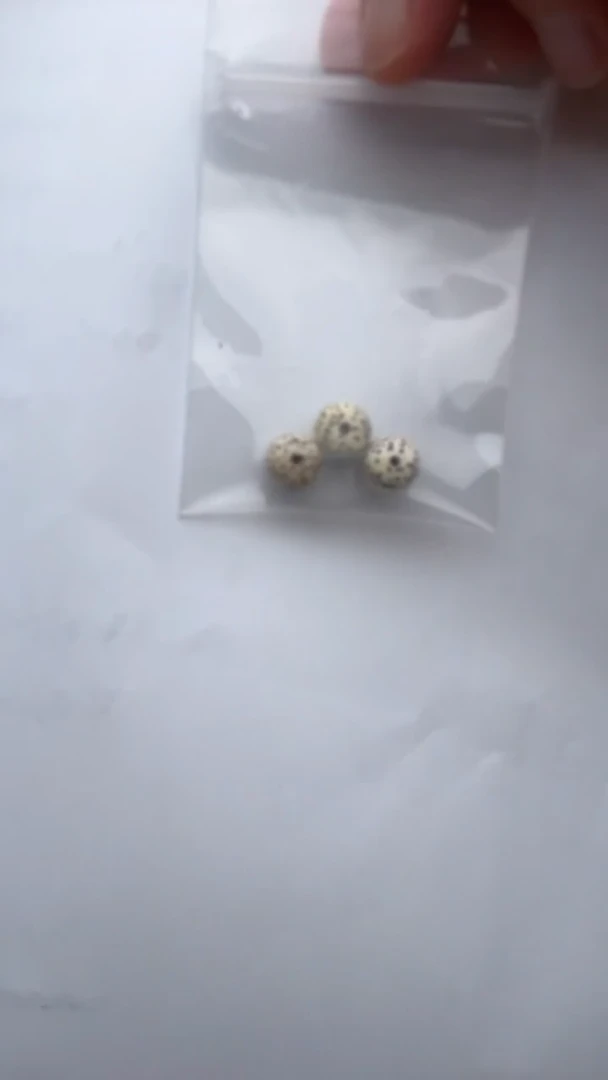 手串星月菩提萍*. 萍萍.专拍星月散珠