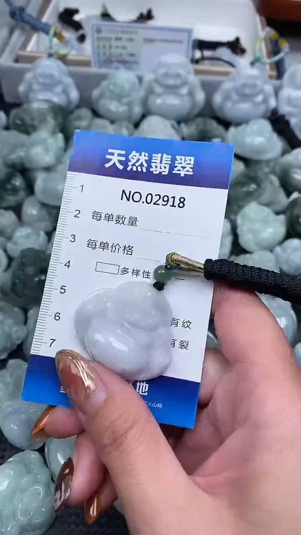 颈饰未镶嵌翡翠纯天然A货翡翠2918