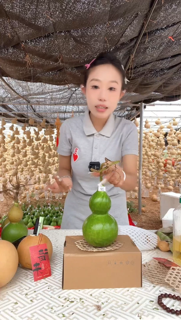 100天然葫芦摆件 一物一拍