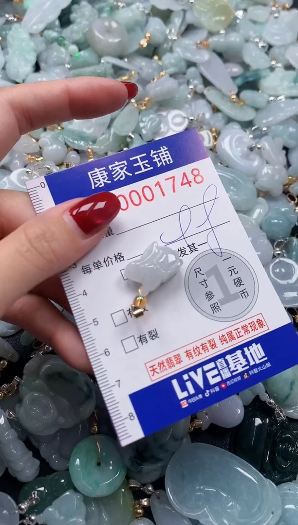 颈饰未镶嵌翡翠1748