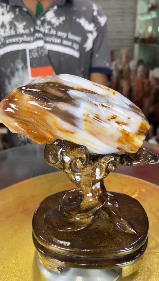 硅化玉珠宝奇石未镶嵌缅甸天然树化玉