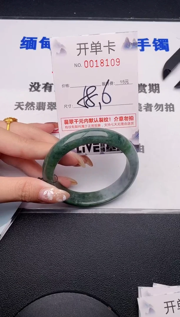 未镶嵌手镯翡翠09