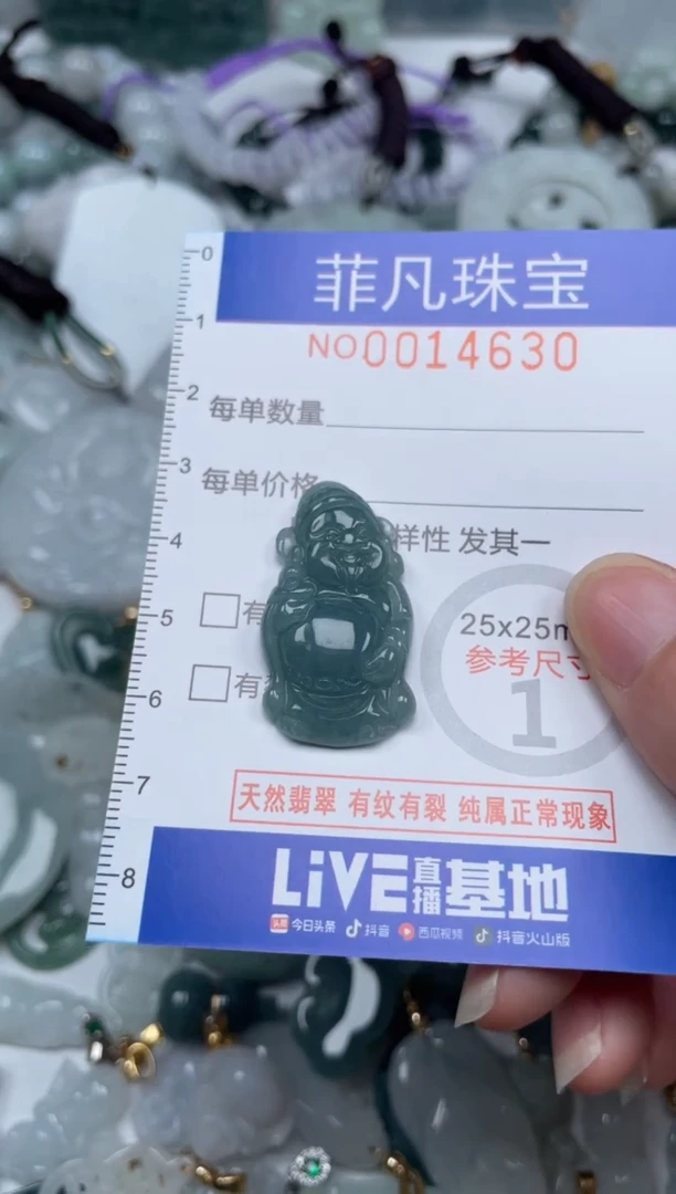 颈饰未镶嵌翡翠14630