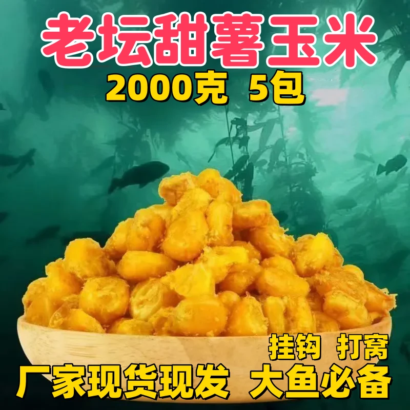【5包装】老坛甜薯玉米果酸玉米老坛玉米钓鱼发酵钓鱼打窝玉米