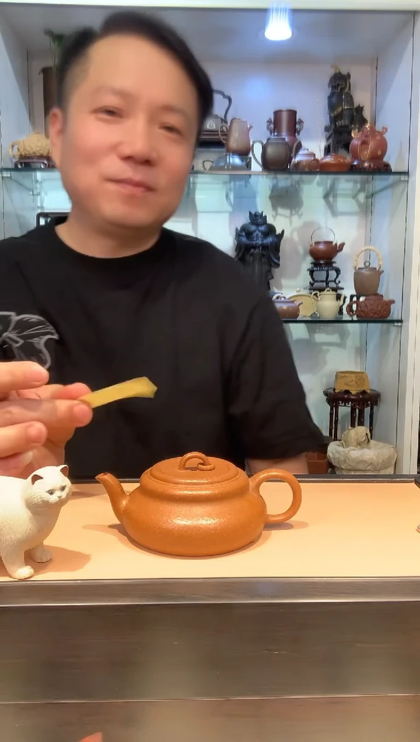 哎****呦宜陶紫砂宜陶紫砂191