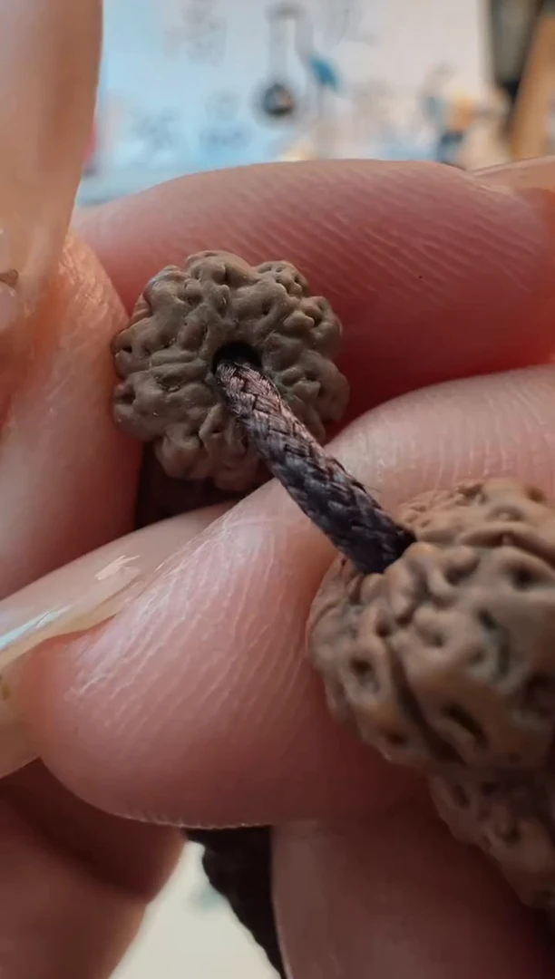 吊坠金刚菩提冷**?855五瓣树王