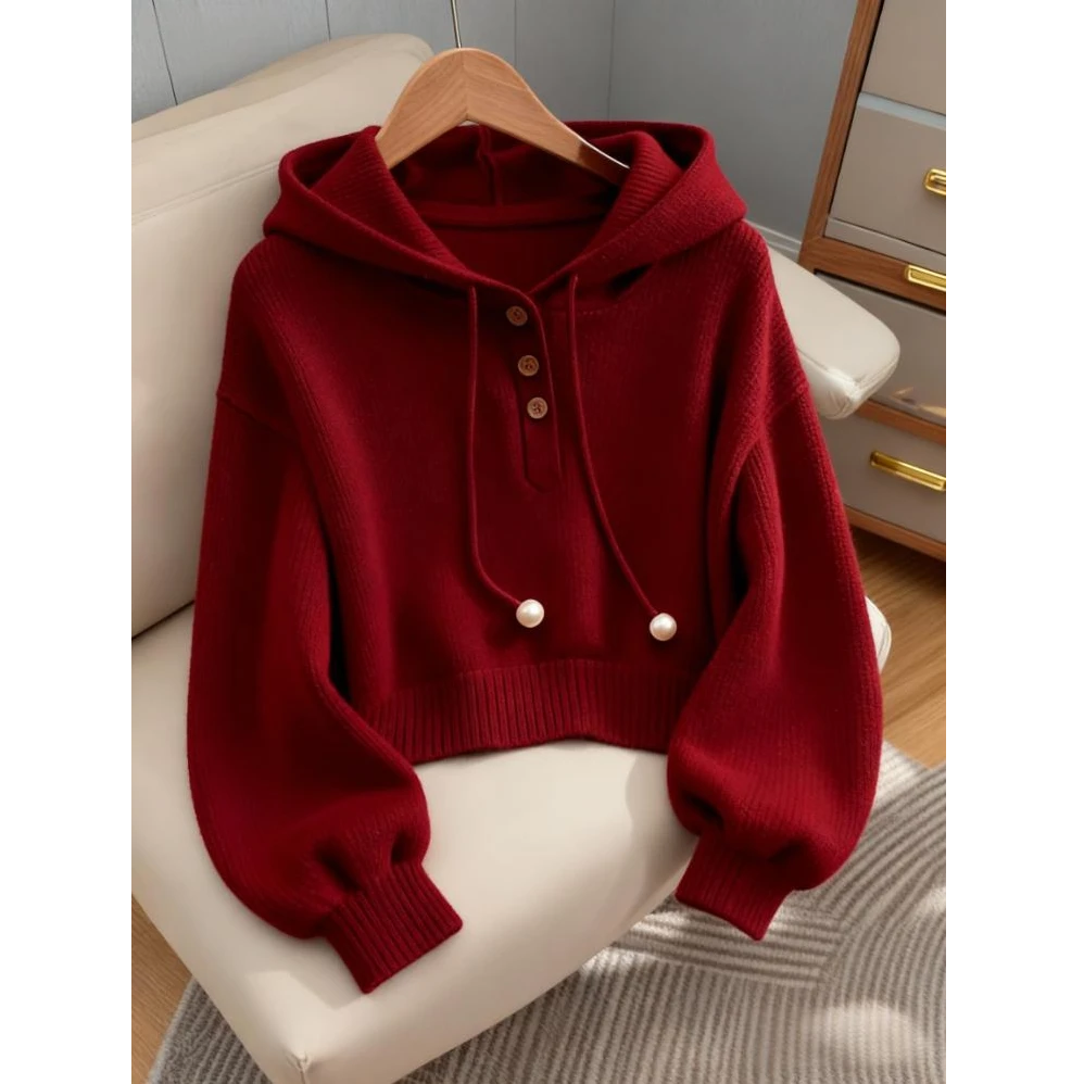 2025秋装新款慵懒风时尚气质显瘦百搭长袖连帽毛衣针织衫女装爆款