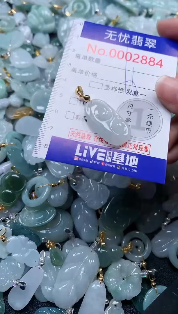 颈饰未镶嵌翡翠2884