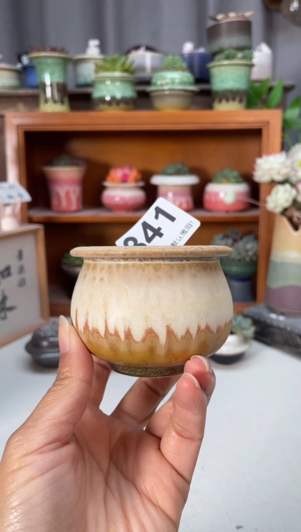 瓷片341知木小芳花盆