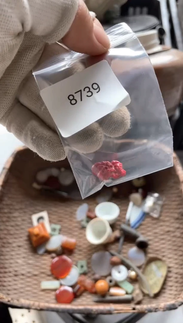 器556677882505308739