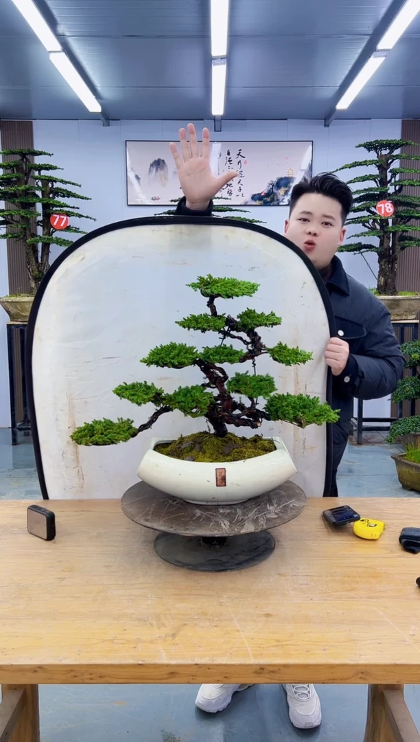 以实际为准00000000
