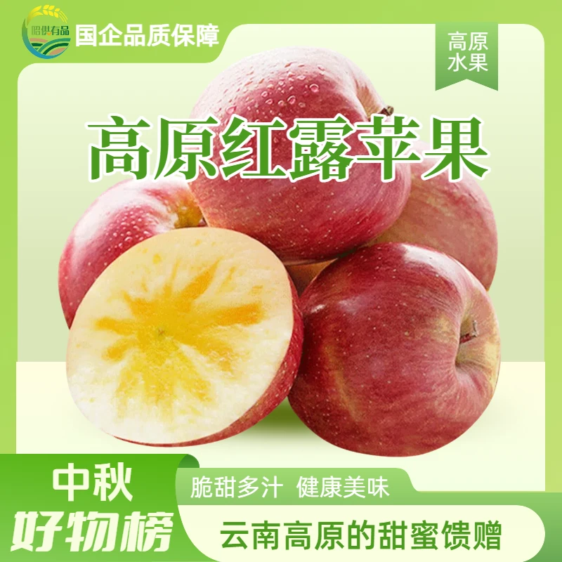 昭供有品冰糖心云南昭通高原红露苹果12枚礼盒装脆甜多汁新鲜现摘