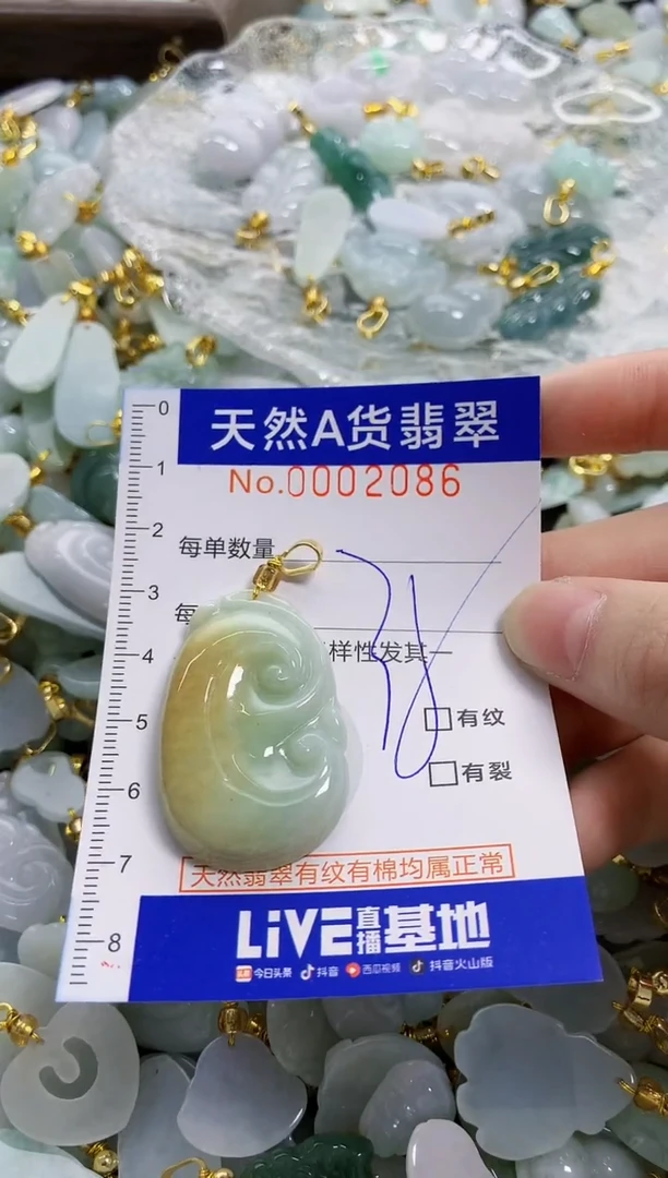 颈饰未镶嵌翡翠L****9天然A货翡翠