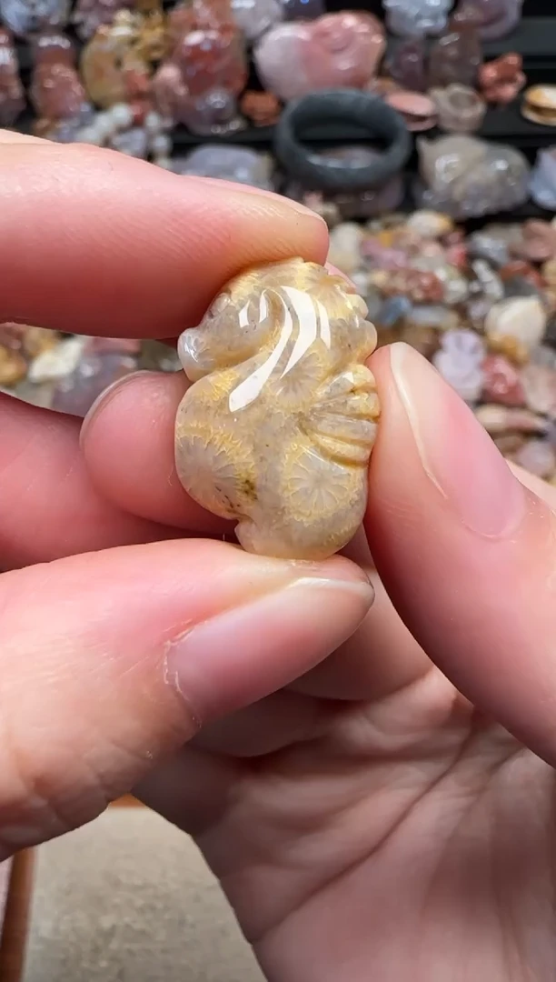 颈饰未镶嵌硅化珊瑚（珊瑚玉）691