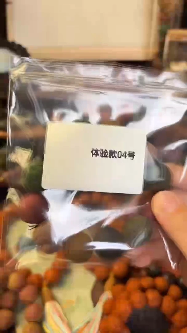 泥塑多宝四号体验款一条