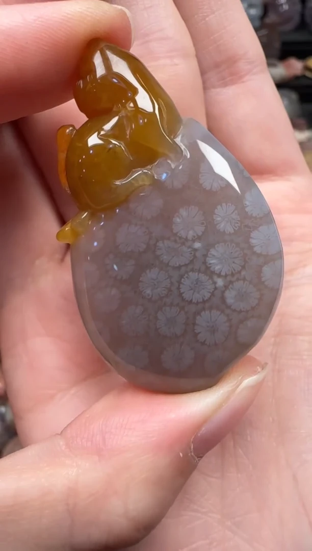 颈饰未镶嵌硅化珊瑚（珊瑚玉）403