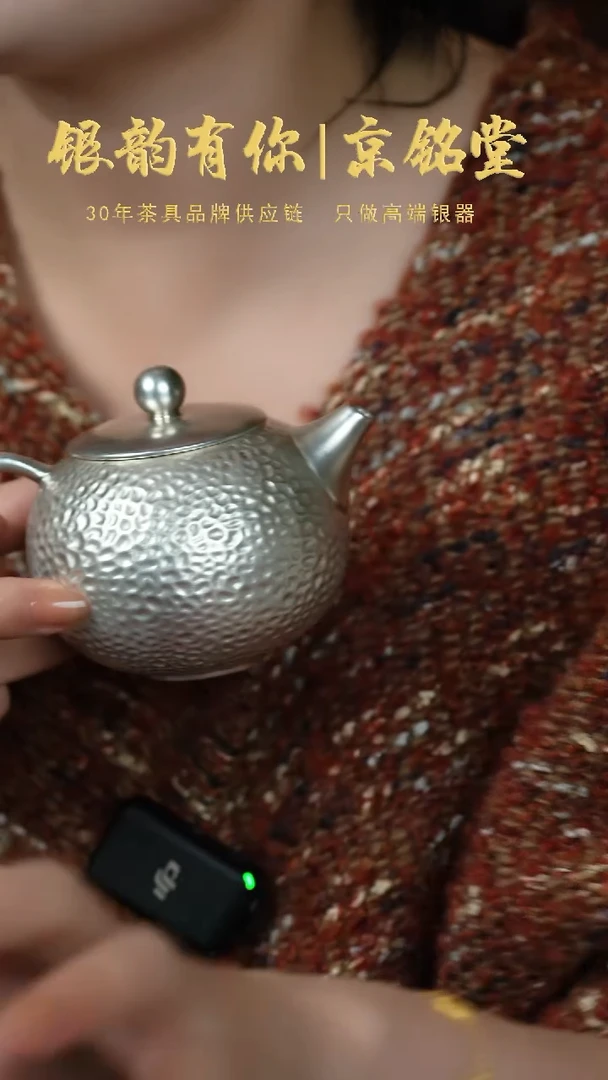 【闪购商品】锤纹壶..............