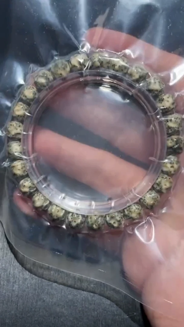 星月菩提手串G29240510-04