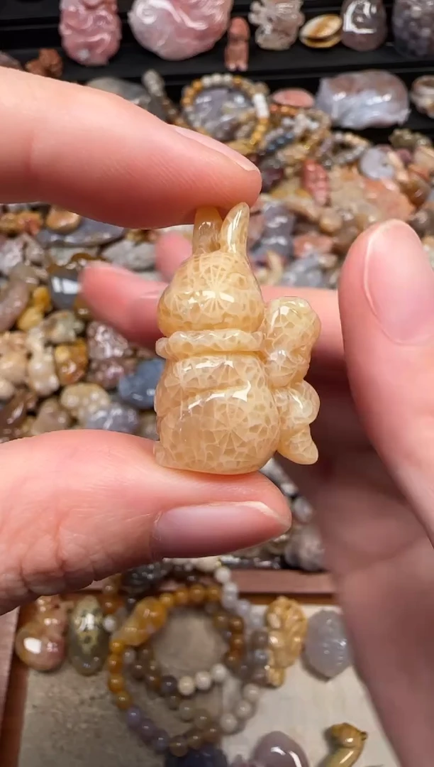 颈饰未镶嵌硅化珊瑚（珊瑚玉）111