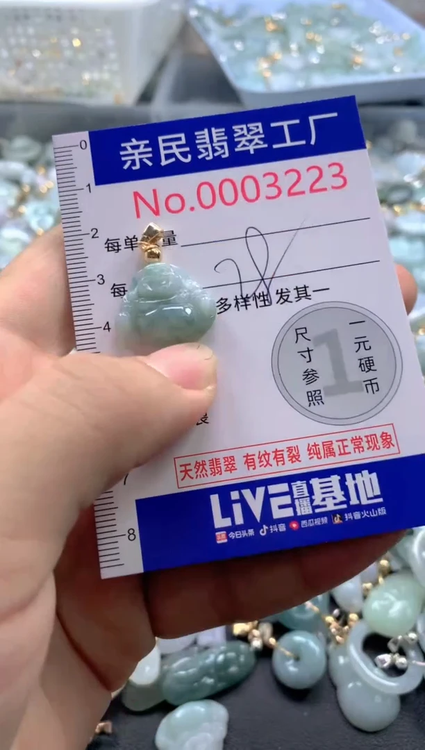 颈饰未镶嵌翡翠3223