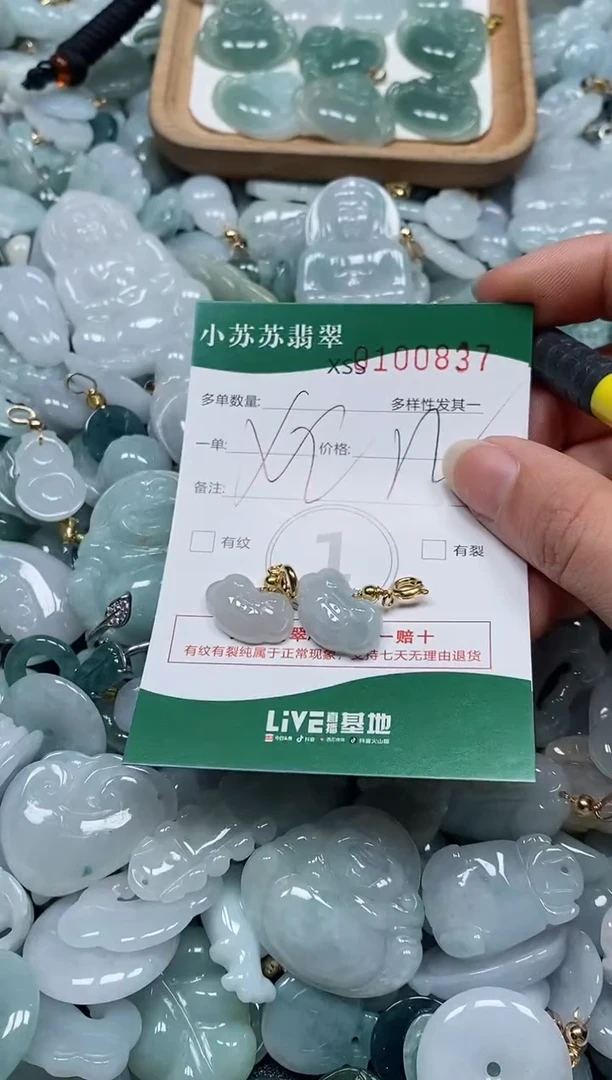 【闪购商品】翡翠颈饰未镶嵌闪购商品0100837