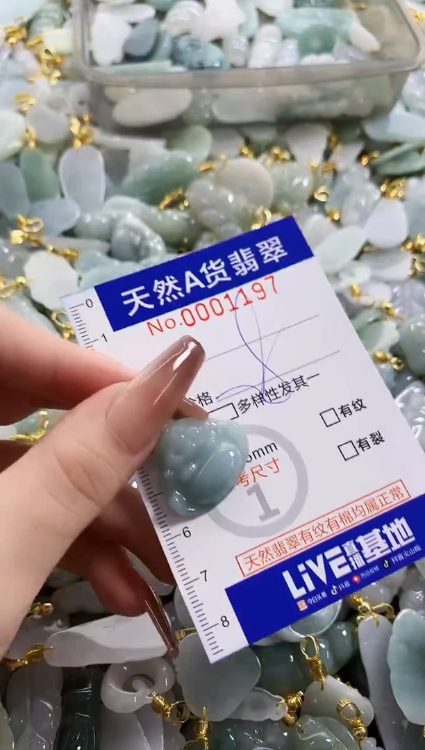 颈饰未镶嵌翡翠天然A货翡翠