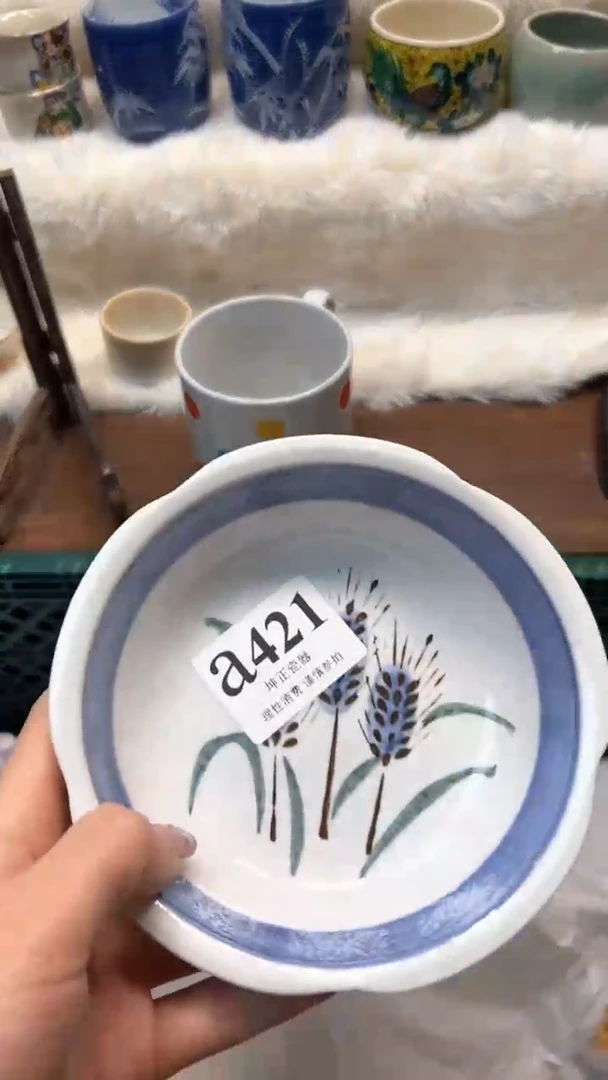 【闪购商品】瓷片          a421