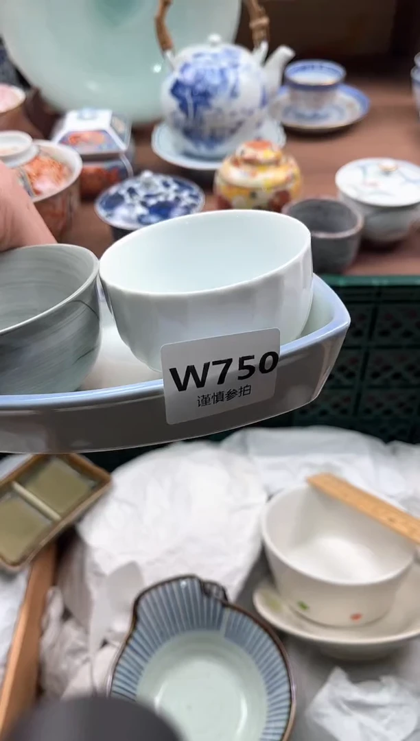 【闪购商品】瓷片750               