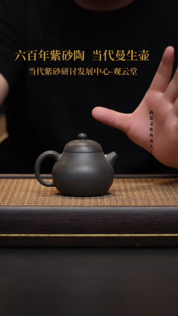 茶壶紫砂宜兴紫砂壶天青泥小文旦