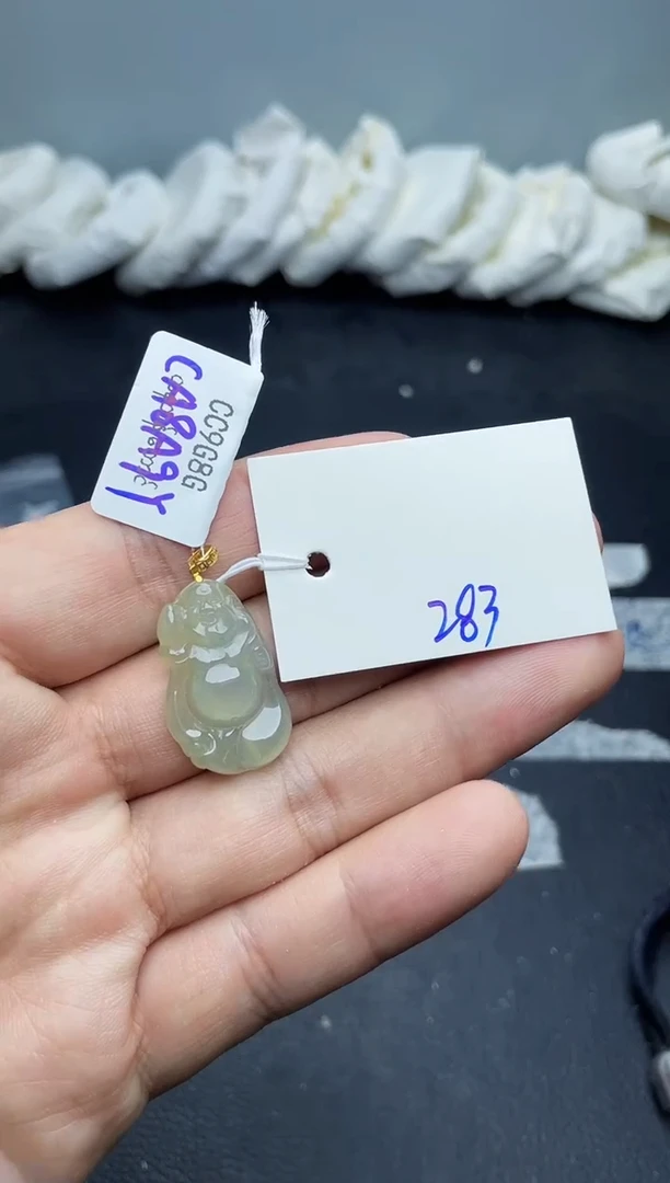 未镶嵌手镯翡翠283