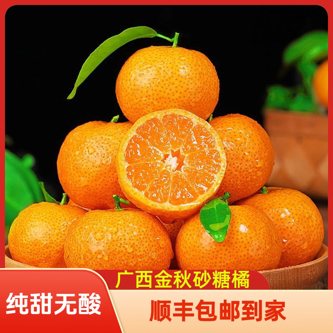 广西桂林金秋砂糖桔（顺丰包邮到家）纯甜无酸产地现摘现发只做精品