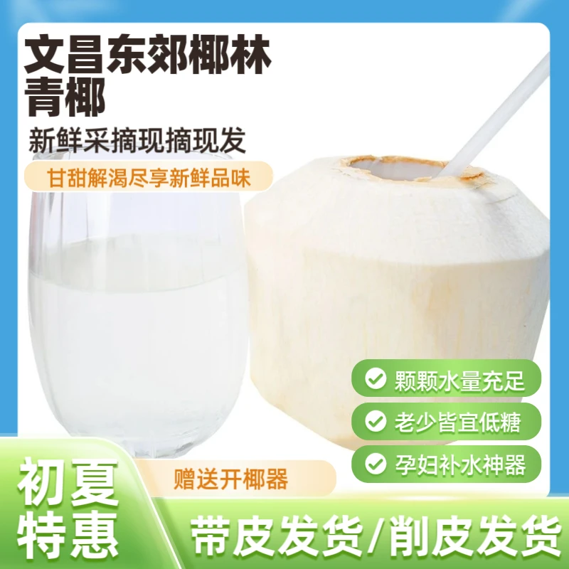 青椰子文昌东郊椰林新鲜补水老人孕妇儿童