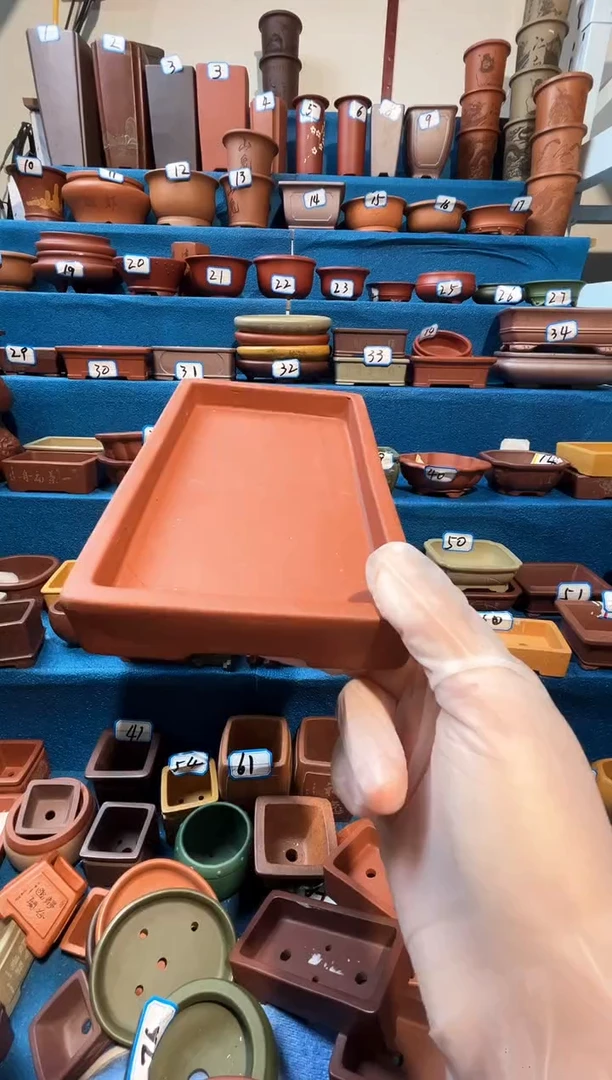 【闪购商品】紫砂紫砂花盆19.5*10.5*1.5