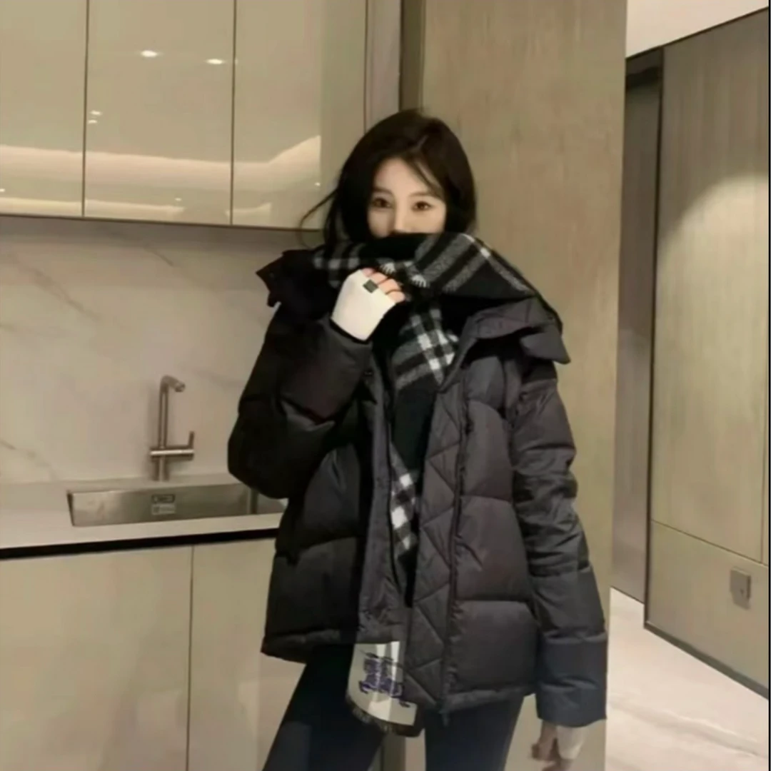 H2五格羽绒服外套百搭仙女低保和色气质立领连帽羽绒服