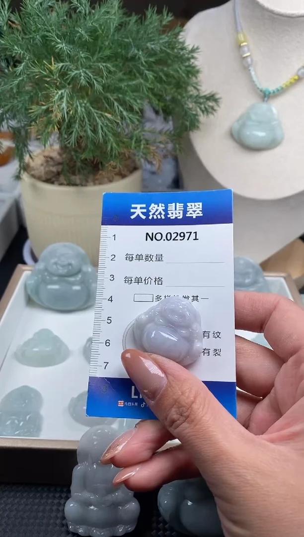 颈饰未镶嵌翡翠纯天然A货翡翠2971