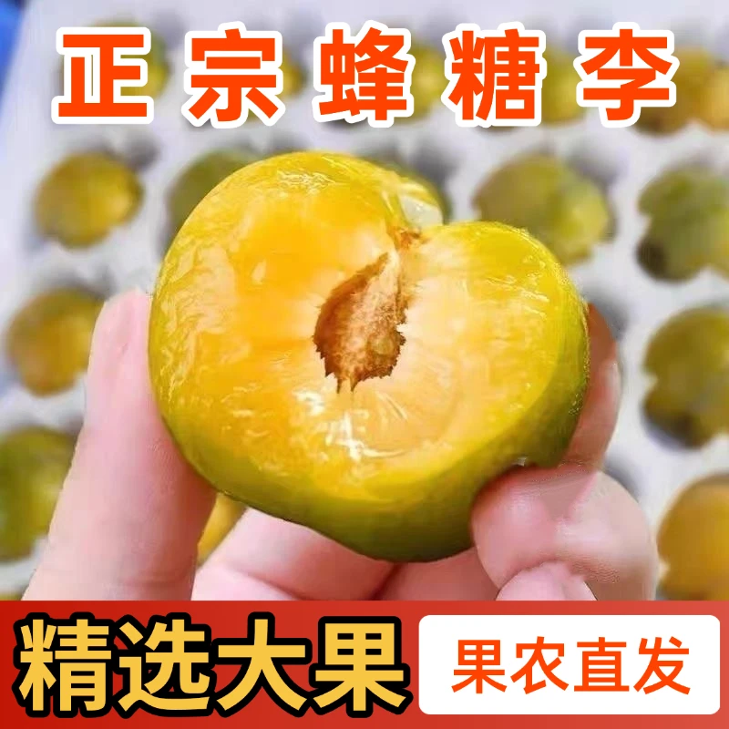 【顺丰】正宗贵州六马蜂糖李子脆甜脱骨当季新鲜水果礼盒