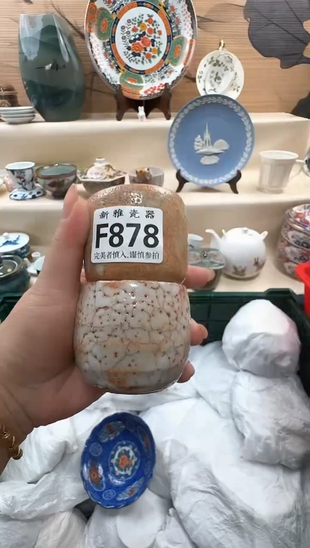 瓷片D****d           F878