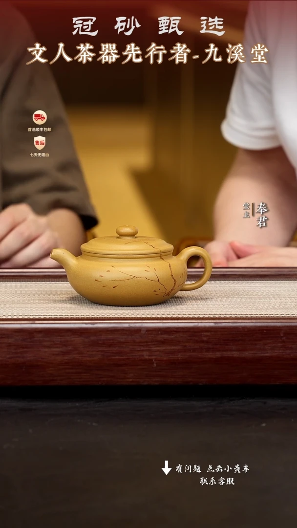 茶壶紫砂九溪堂壶21