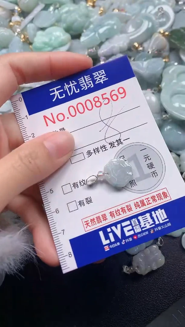 颈饰未镶嵌翡翠8569