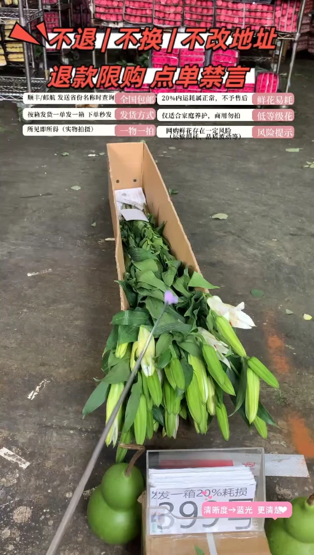 399号♥含20%耗损发一箱
