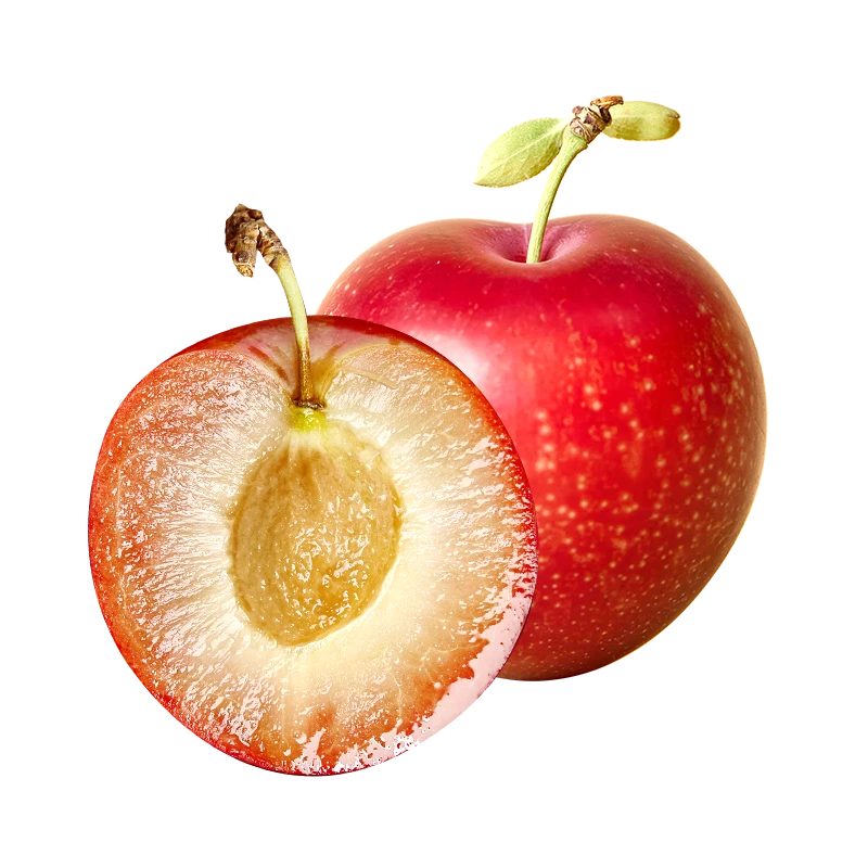 顺丰包邮 智利进口樱桃李2-5斤装新鲜水果李子酸甜可口坏果包赔