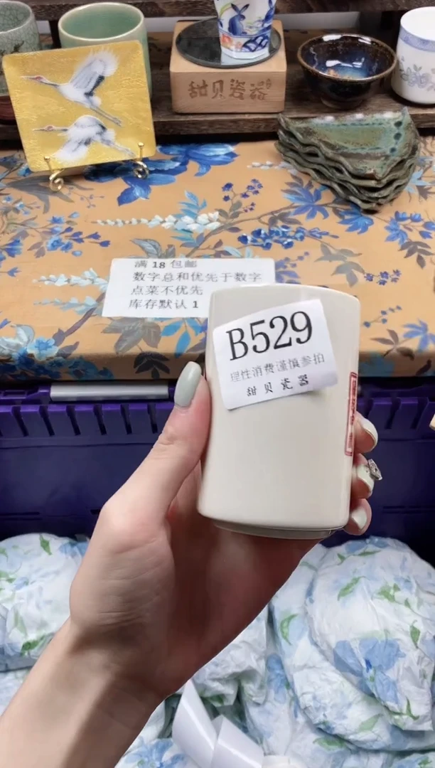 瓷片酷****）                B529