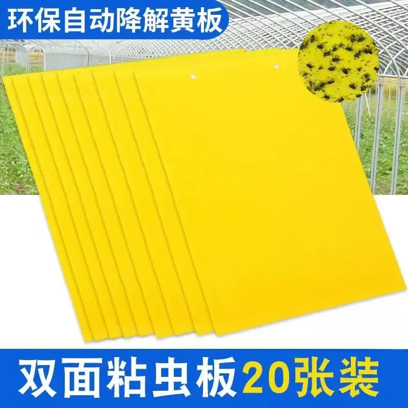 黄色双面粘虫板贴纸强力小飞虫沾果蝇诱捕神器捉蚊子苍蝇ld