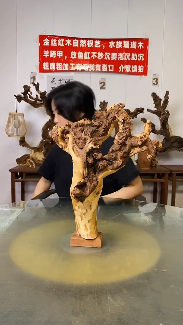 香榧木啊*看金丝红木 羊蹄甲